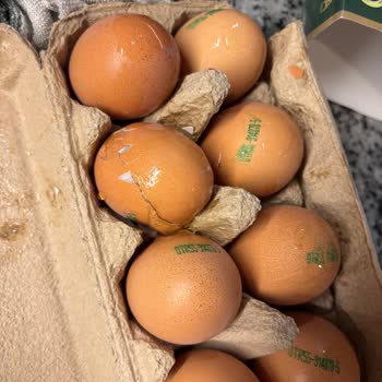 Kırık Yumurta, Boş Bekleyiş Ve Müşteri İlgisizliği