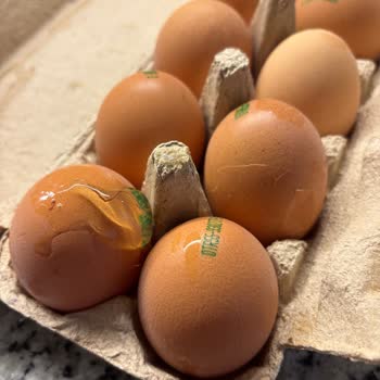 Kırık Yumurta, Boş Bekleyiş Ve Müşteri İlgisizliği