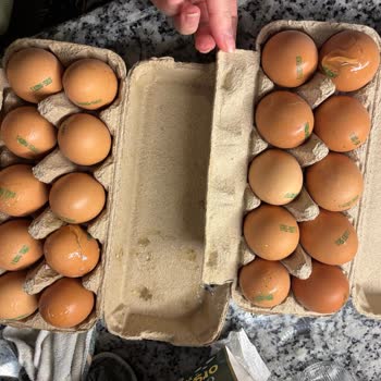 Kırık Yumurta, Boş Bekleyiş Ve Müşteri İlgisizliği