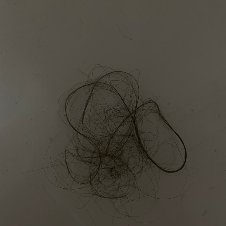 OGX Nemlendirici Şampuan Saç Dökülmesini Ve Kaşıntıyı Artırdı, İade Talebi