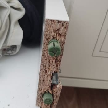 Ürün Çekmece Kapağı Bir Ay İçinde Düşmesi Ve Ücretli Tamir Talebi