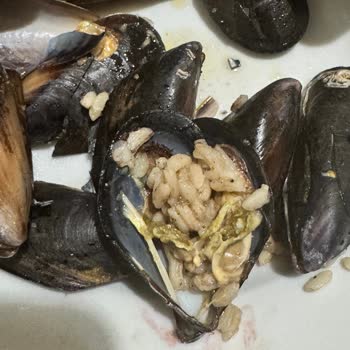 Rize 53. Cadde Migros Mağazasında Bozulmuş Midyeler Sağlık Endişesi Yaratıyor