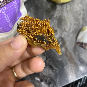Kuru İncirde Böcek Tespiti Gıda Güvenliğini Tehlikeye Atıyor