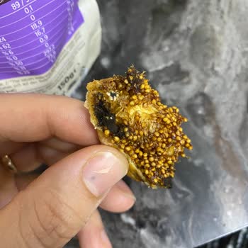 Kuru İncirde Böcek Tespiti Gıda Güvenliğini Tehlikeye Atıyor