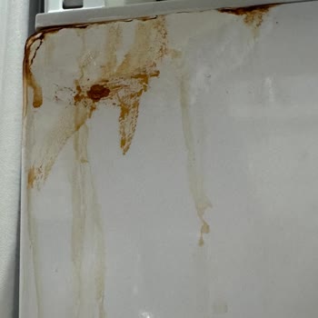 Deterjan Bölgesinde Paslanma Sorunu Ve Ücretsiz Parça Değişimi Talebi