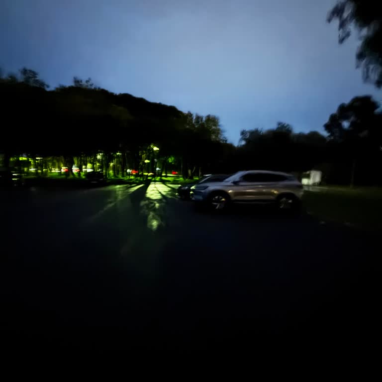 Ege Üniversitesi Yabancı Diller Yüksekokulu Önündeki Otopark Aydınlatması Yetersiz Ve Tehlikeli!