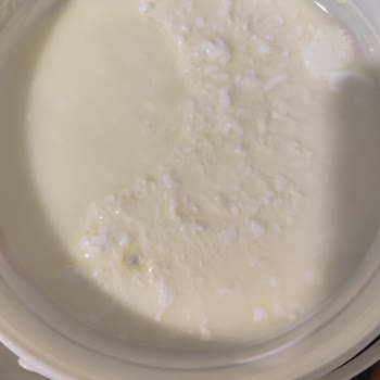 Sahi Göksun Kaymaklı Yoğurt Kısa Sürede Küflendi