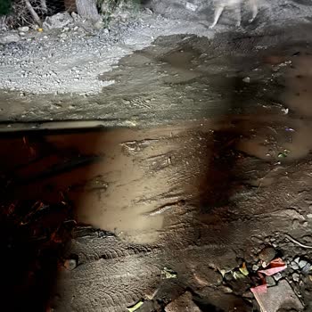 Kanalizasyon Çalışması Sonrası Yol Çamurlu, Patlayan Su Borusu Ve Elektriksiz Gün