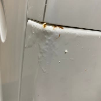 Yetkili Servis Uyarı Yapmadan Kurulum Yaptı Paslanma Ve Boya Kabarması Garanti Dışı Değerlendirildi