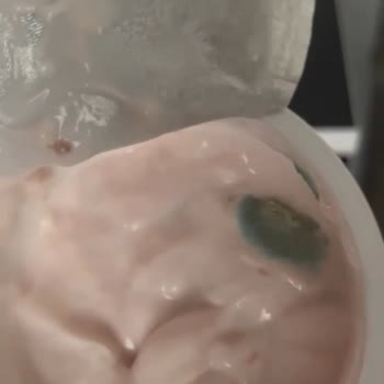 Yoğurdun Bir Gün İçinde Küflenmesi Sağlık Endişesi Yarattı