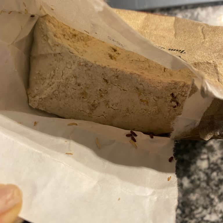 Söke Tam Buğday Ununda Böcek Ve Kurtlanma Görüldü, Gıda Güvenliği İhlali