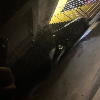 Akasya AVM Kapalı Otoparkta Araç Çarpması Hakkında Net Bilgi Talebi