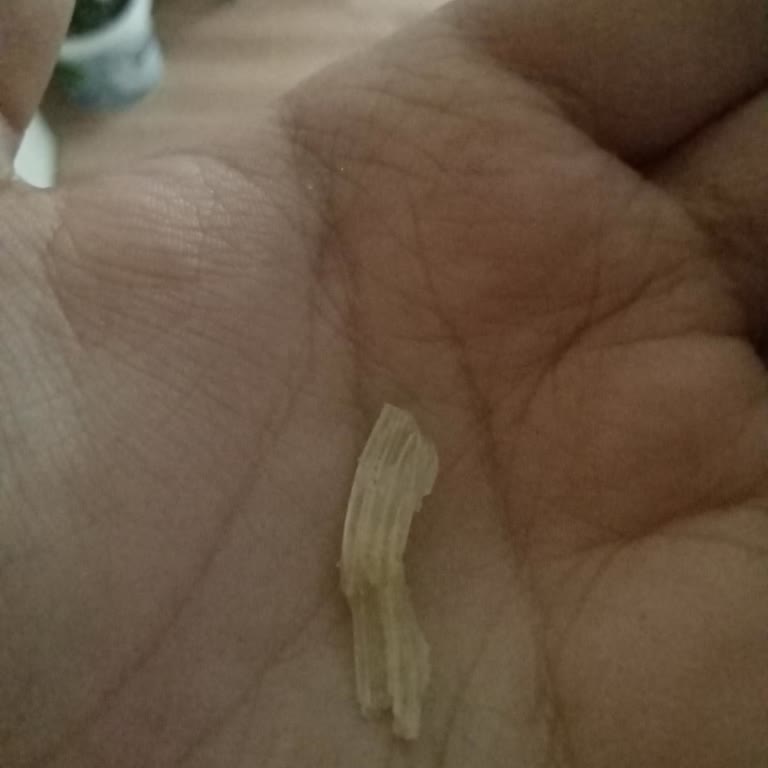 A101 Çokça Mısırın İçinden 2 Adet Kabuk Parçası Çıktığını Gördüm