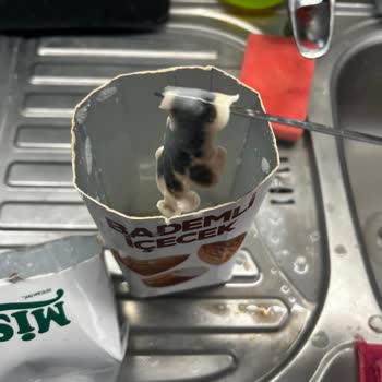 Mis Bademli İçecekte Küf Görülmesi Para İadesi Talebi