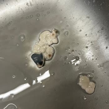 Mis Bademli İçecekte Küf Görülmesi Para İadesi Talebi