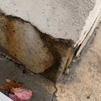 Babacan Yapı Port Royal’da Temizlik Ve Güvenlik Sorunları Çözülmüyor