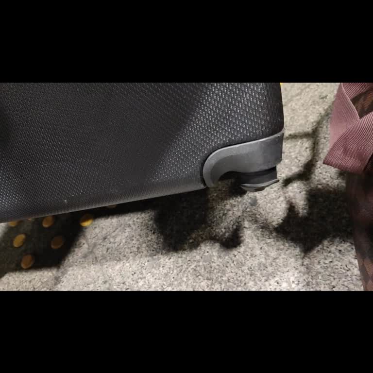 Pegasus'ta Kırık Bagaj Ve Cevapsız Şikayet