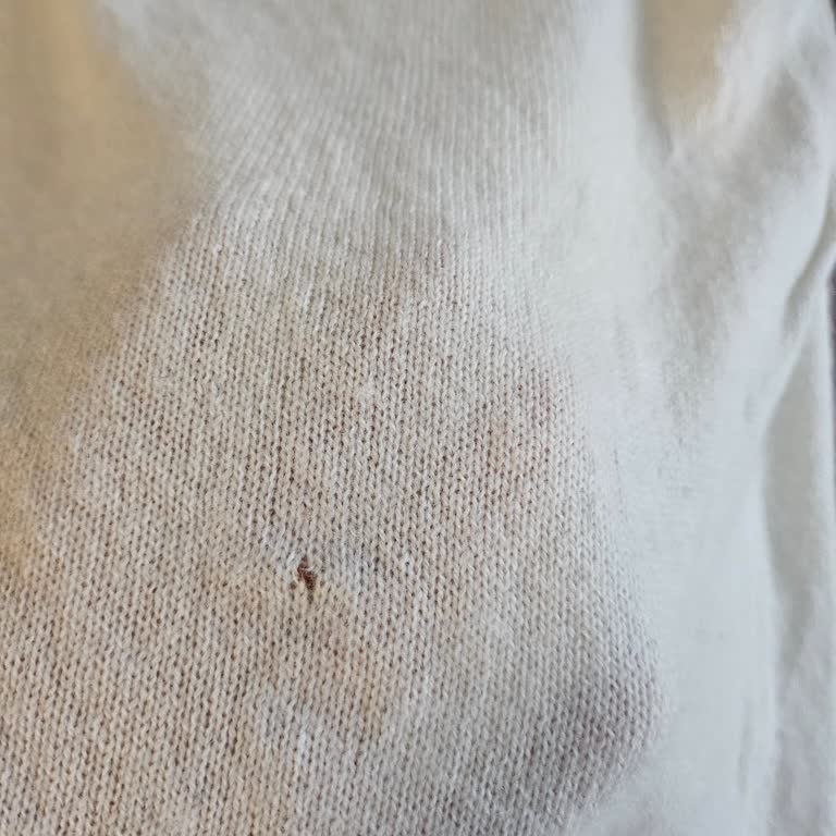 Kaşmir Kazakta Dikiş Problemi Ve İade İsteği