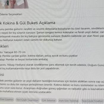 Sipariş Edilen Noel Baba Şapkalı Ayıcık Gönderilmedi