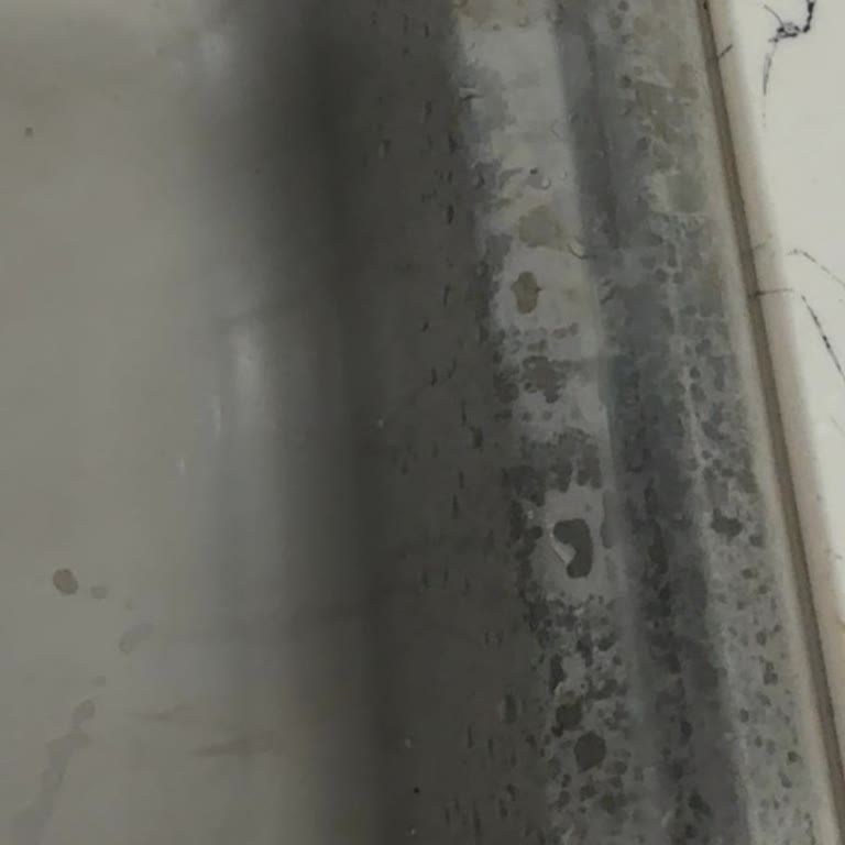 Koruma Temizlik Miss Kireç Çözücü Sprey Sorunu