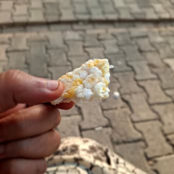 Eti Gong Mısır Ve Pirinç Patlağında Tüy Bulunması Hijyen İhlali