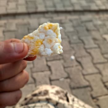 Eti Gong Mısır Ve Pirinç Patlağında Tüy Bulunması Hijyen İhlali