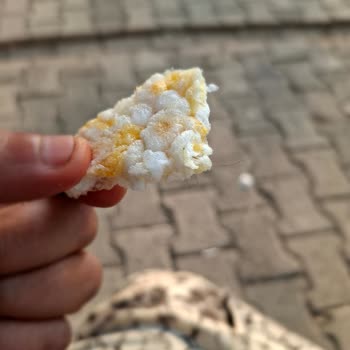 Eti Gong Mısır Ve Pirinç Patlağında Tüy Bulunması Hijyen İhlali