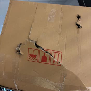 İade Sonrası Ödeme Gecikmesi Ve Hızlı Çözüm Talebi