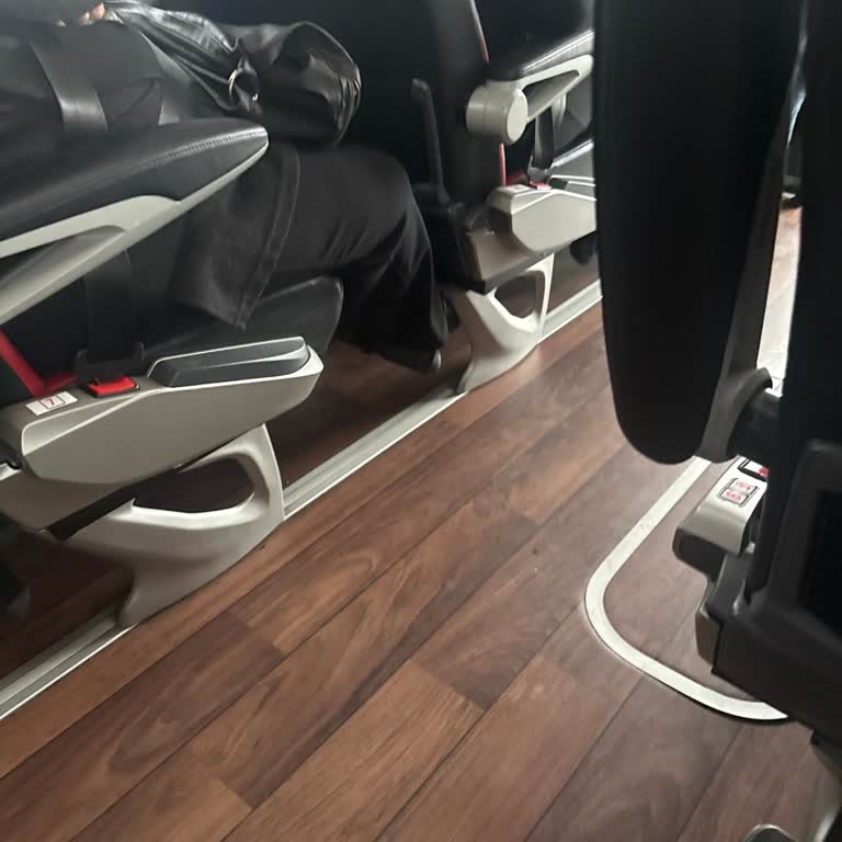 Pamukkale Turizm Otobüse Kedi Alındı