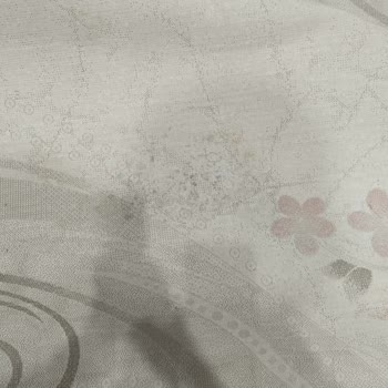 Şelale Halı Yıkama | Eyüpsultan Küflü Halı Ve Kötü Koku