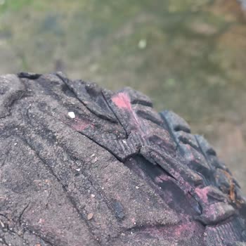 Vogel Trekking Botunda Hatalı Üretim Ve Çözüm Sunulmayan Müşteri Desteği