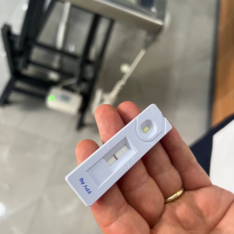 Lüks Patiler Parvo Virüsüyle Hastalanan Kedinin Satıcısının Etik Olmayan Değişim Teklifi