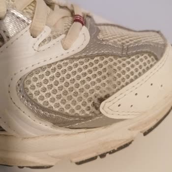 New Balance 530 Ayakkabısında Erken Yırtılma Ve Değişim Talebi