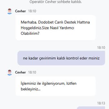 Bonus Çevrim Şartları İhlal Edildi Ve 33.000 TL Bakiyem Haksız Şekilde Silindi