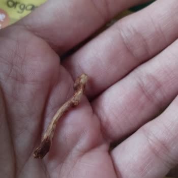 Organik Muzlu Kekte Çubuk Şeklinde Yabancı Parça Tespit Edildi