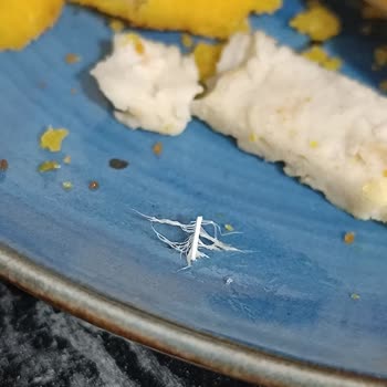 A101'de Satın Alınan Piliç Schnitzel Ürünün İçinde Tüy