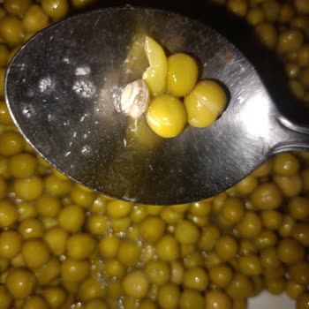 Tamek Bezelye Konservesinde Salyangoz Bulunması Gıda Güvenliği Sorunu