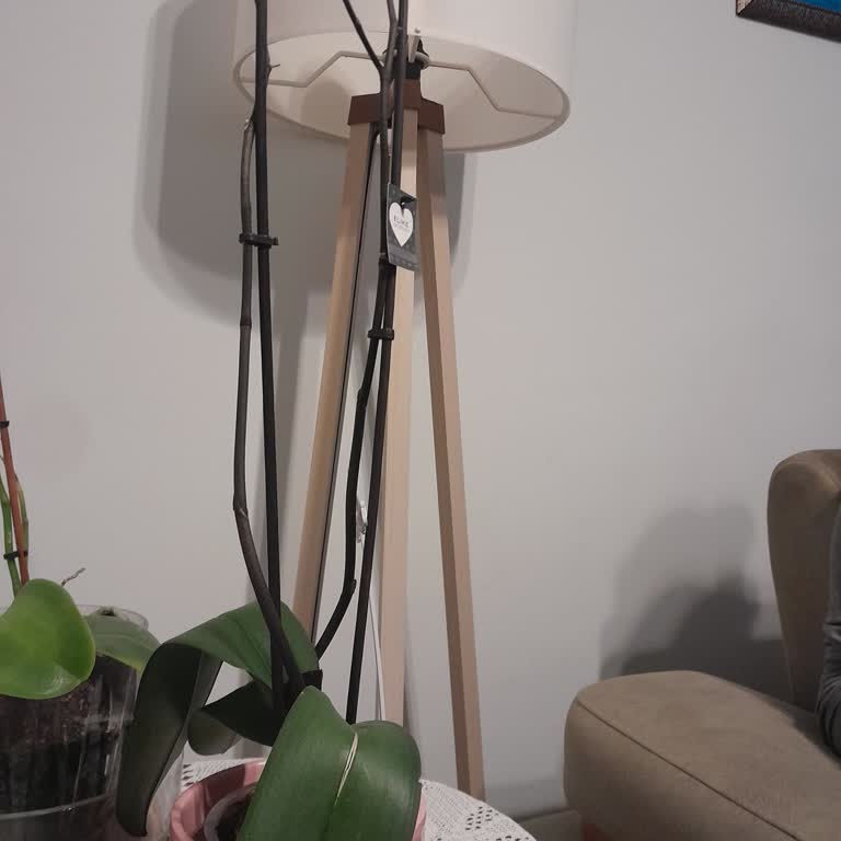 Çiçek Sepeti Solmuş Çiçek Teslimatı Ve Şeffaf Olmayan Müşteri Hizmetleri