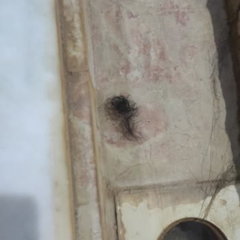 Gazlıgöl Şifa Termal Nakit Olarak Ödememize Rağmen Herhangi Bir Fatura Ya Da Fiş De Verilmedi