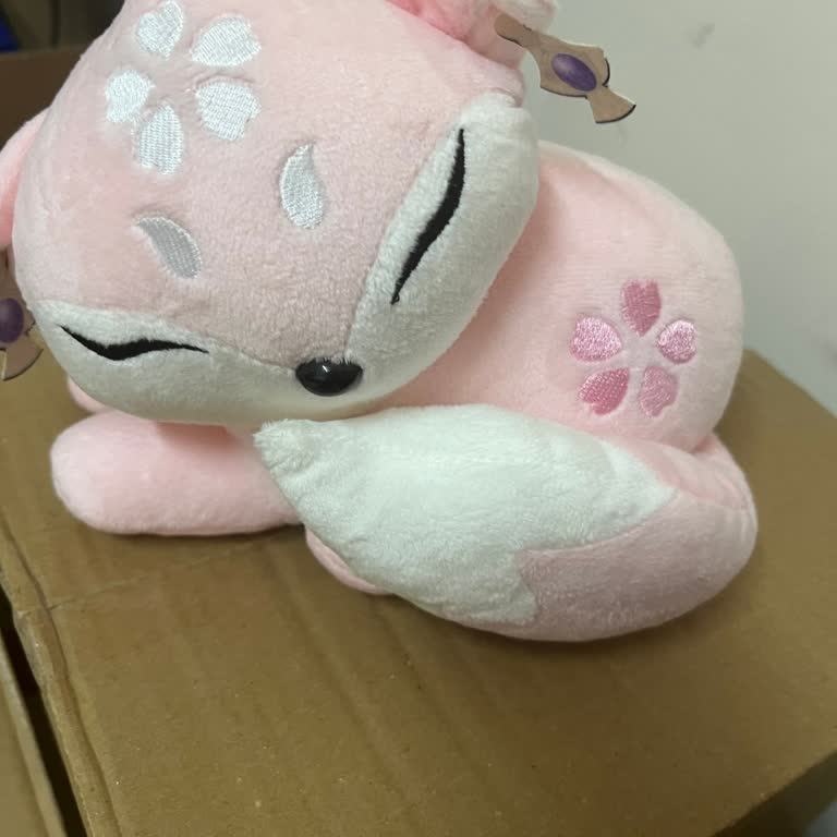 PTT Kargo Ürünüm Teslim Edilmedi Ve İade Edileceği Söylendi