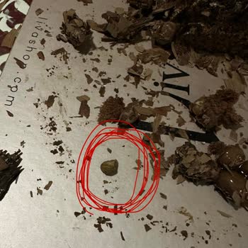 Pastanın İçinde Taş Bulunması Ve Şube İletişimsizliği