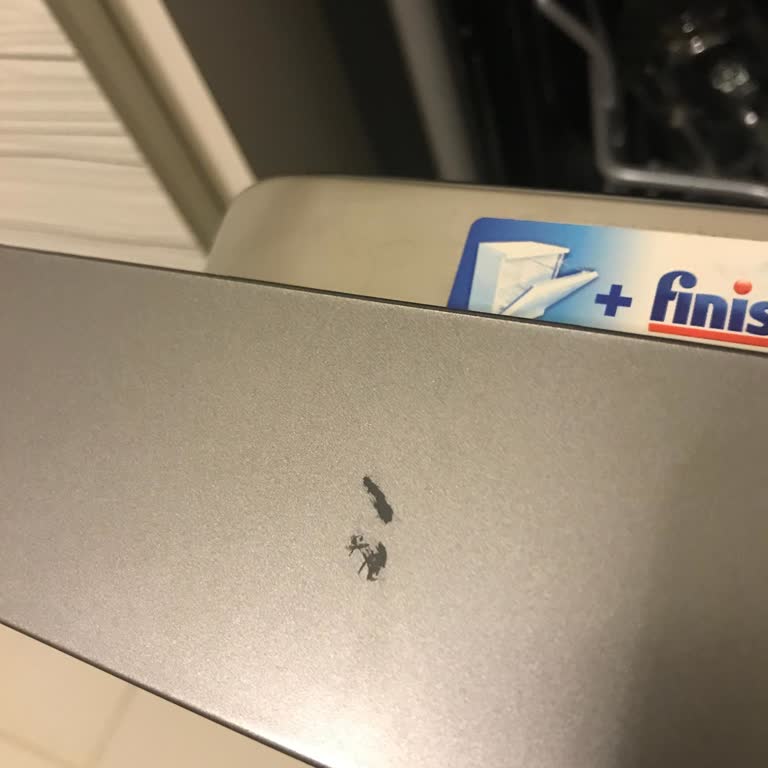 Arçelik Bulaşık Makinesinde Boya Aşınması Garanti Kapsamında Değerlendirilmedi