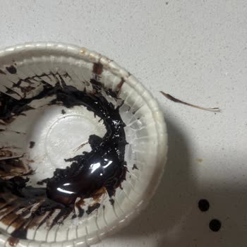 Dr. Oetker Çikolata Şelalesi'nde Balık Kılçığı Bulunması