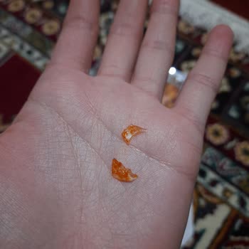 Secen Gross Soslu Fıstığın İçinden Cam Çıktı