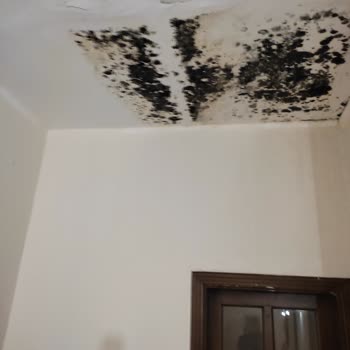 Neva Termal Otel | Afyon Hüsranı!