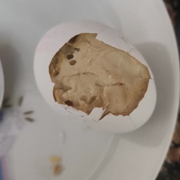 Hakmar Gıda Pendik Güllübağlar Mahallesinde Satılan Çürük Yumurtalar İçin Acil Denetim Talebi