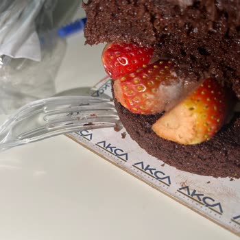 Küflü Pastanın Ücret İadesi Talebi