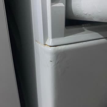 Bosch Serie 4 Çamaşır Makinesinde Deterjan Ve Su Haznesi Sızıntısı Nedeniyle Çürüme Ve Kabarma