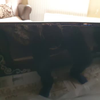 Kırık TV Ve Cevapsız Servis Çağrıları