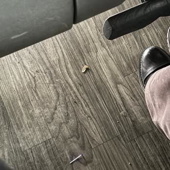 Kamil Koç Otobüsünde 1 Saat Gecikme, Kirli İç Mekan Ve Sigara Dumanı